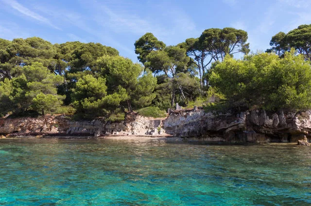 Остров Святой Маргариты Остров Святой Маргариты