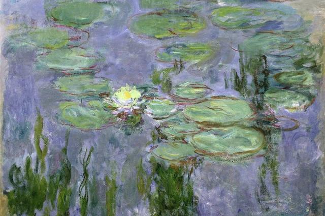 Musée Marmottan Monet Кувшинки Моне