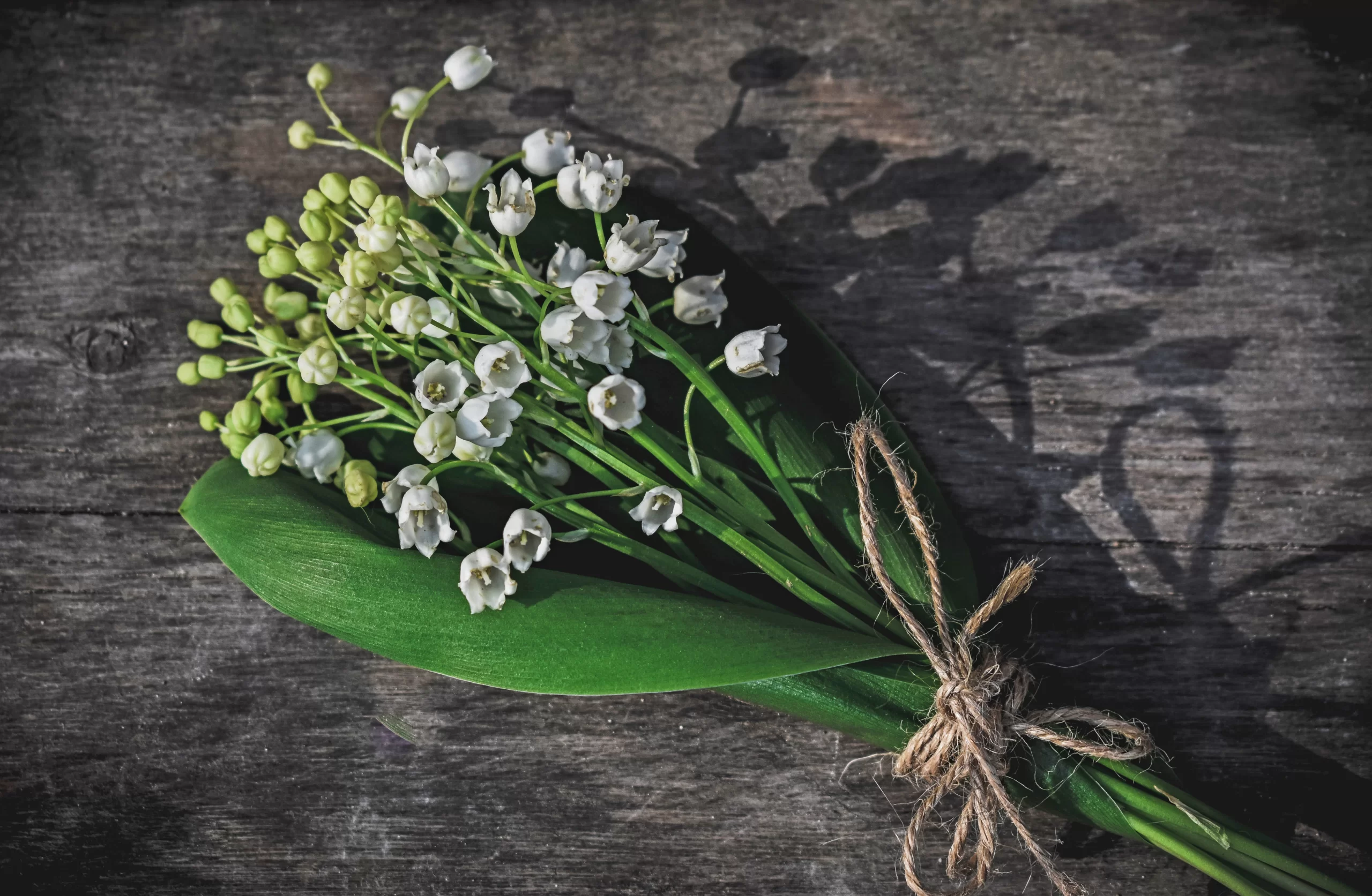 Праздники в Париже: день ландышей