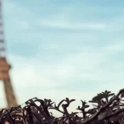 Рестораны с видом на Эйфелеву башню