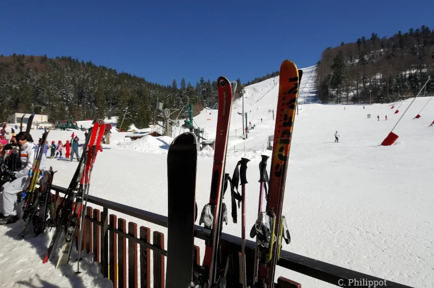 Горные лыжи