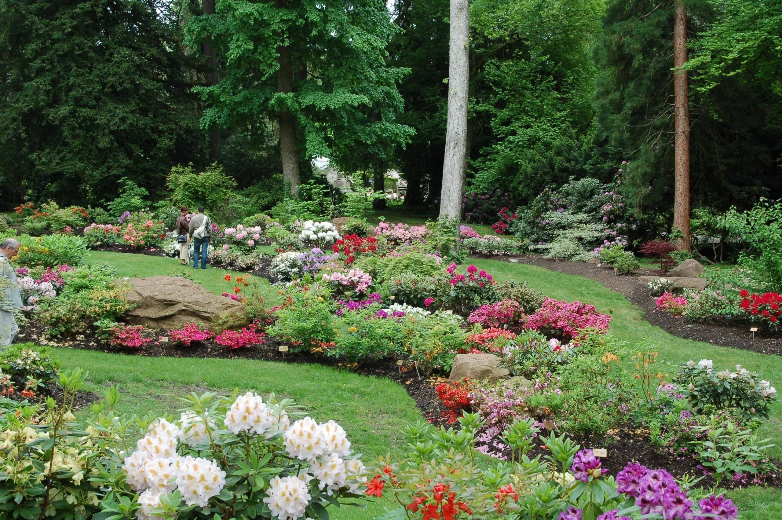 Ботанический сад