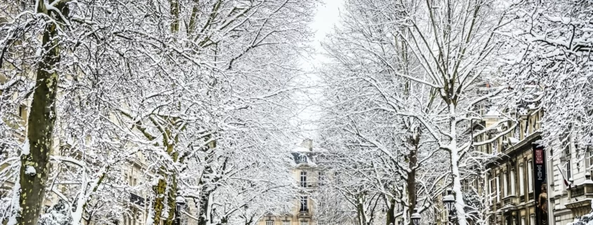 Парк Монсо, Париж