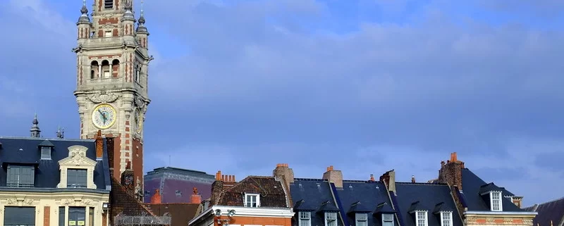 Крыши Лилля