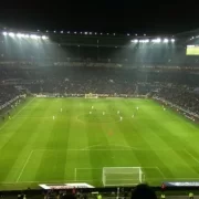 Stade_des_Lumières_-_24_janvier_2016 Стадион в Лионе