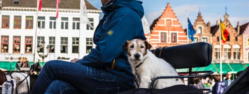 Конная повозка