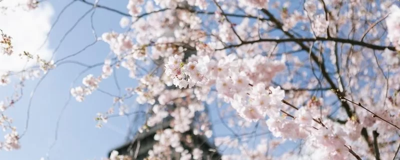 Париж в апреле