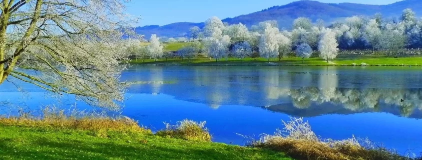 Утренняя изморозь во Франции