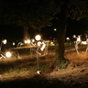 tree-light-night-sunlight-paris-sparkler-589785-pxhere Инсталляция Белой ночи