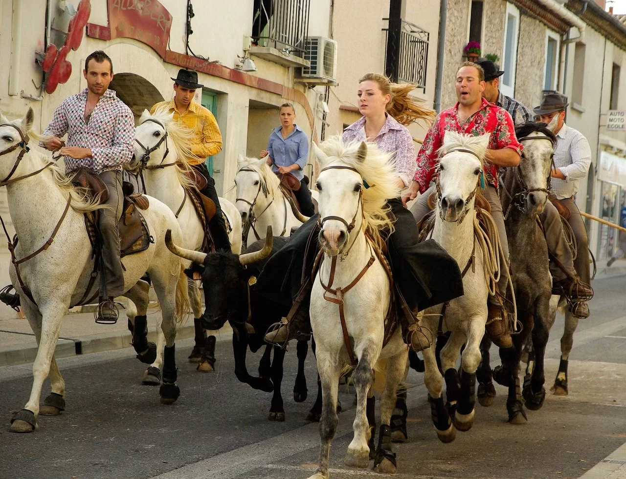 camargue-758720_1280 Конная прогулка