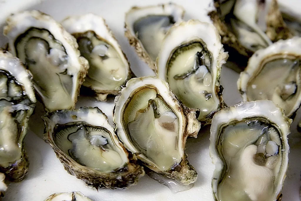 food-oyster-seafood-fish-shellfish-shell-572248-pxhere Устрицы