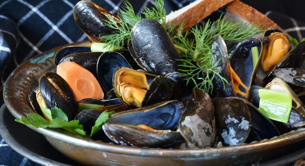 mussels-3148452_1280 Мидии