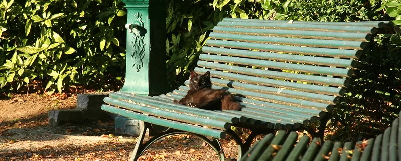 Лавочки в Булонском лесу
