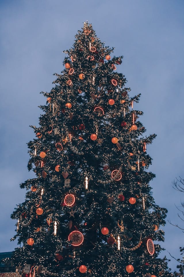 Рождественская елка