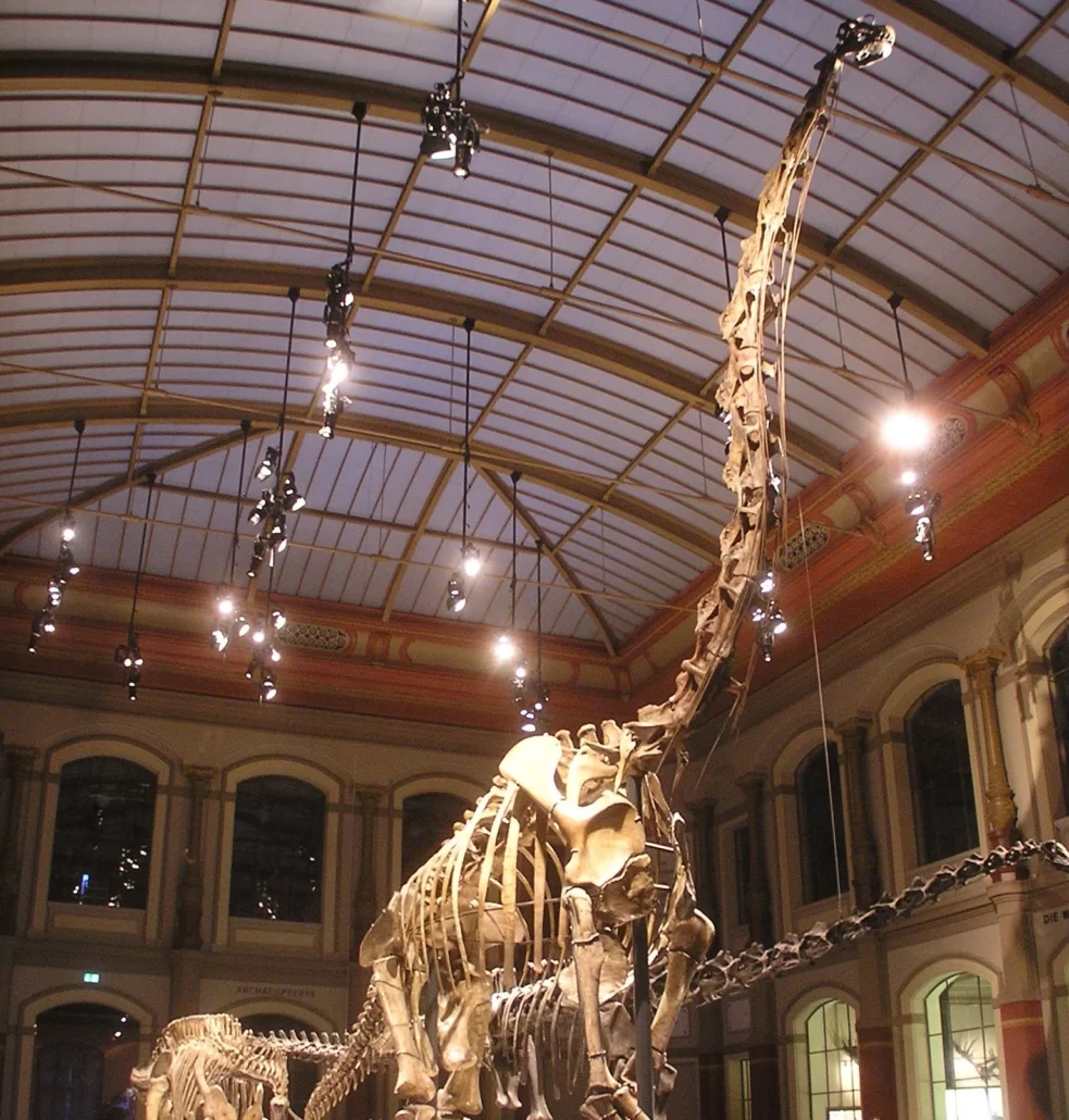 Музей естествознания в Берлине