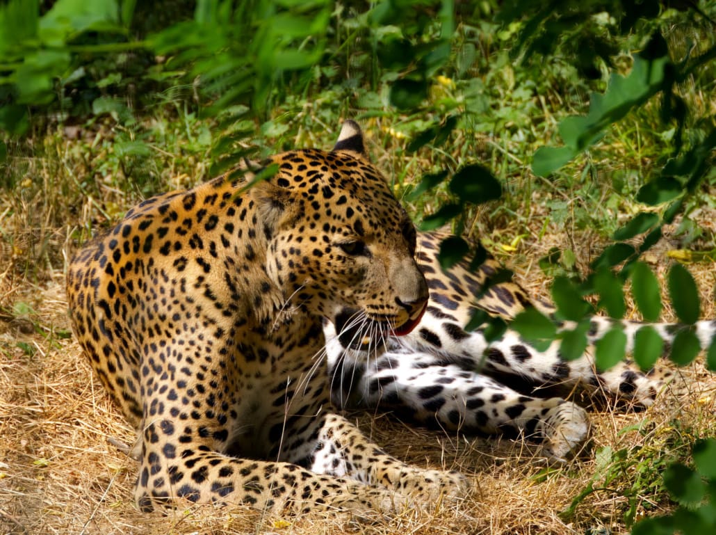 Брненский зоопарк