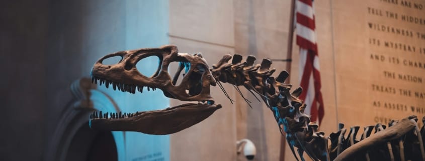 Американский музей естественной истории