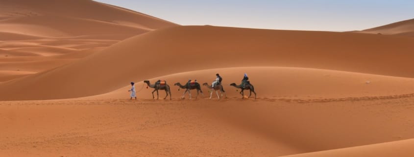 Сафари в Африке