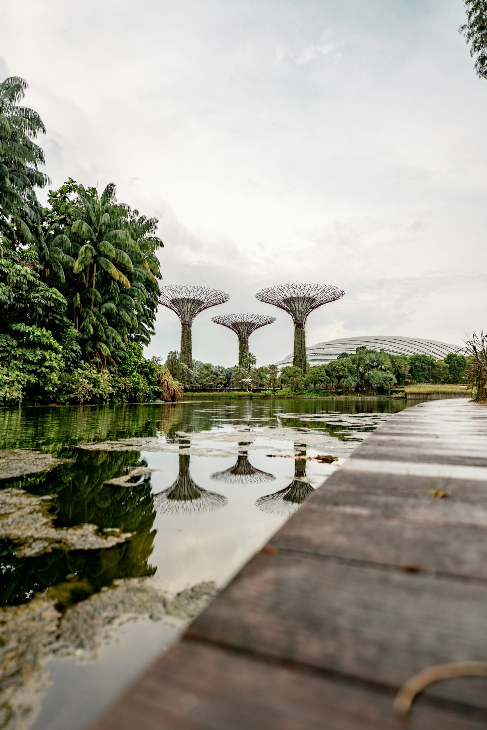 Озеро Зимородок