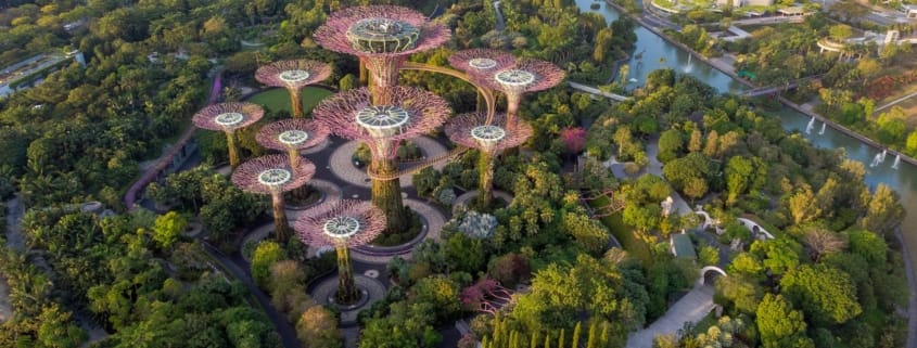 Сады у залива: сон наяву