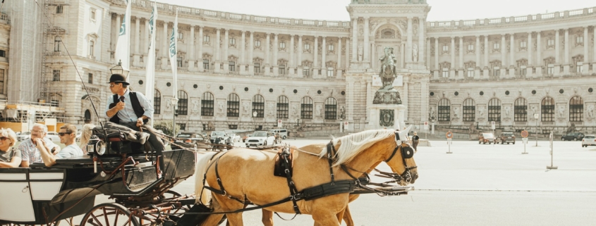 Чем заняться в Вене