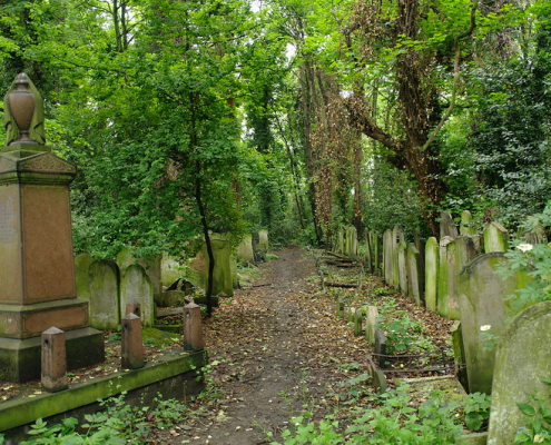 Tower Hamlets Cemetery Park