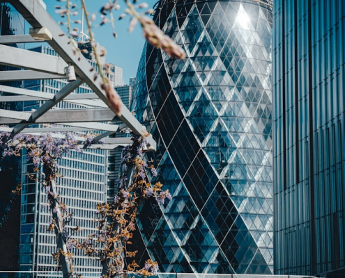 The Gherkin