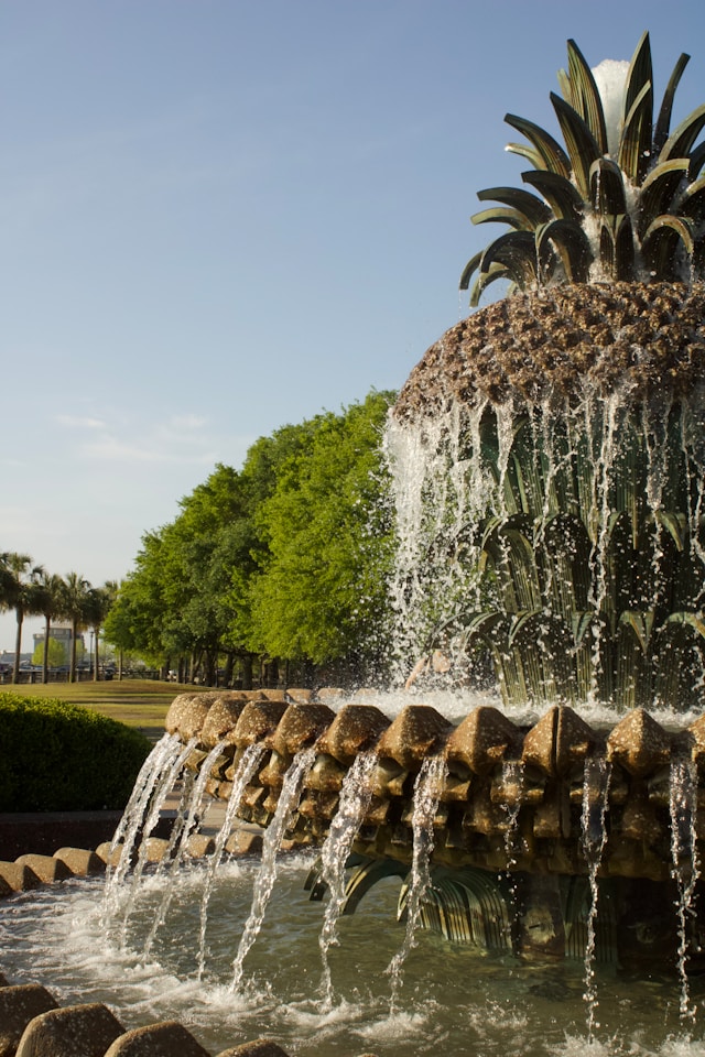 Фонтан Ананас