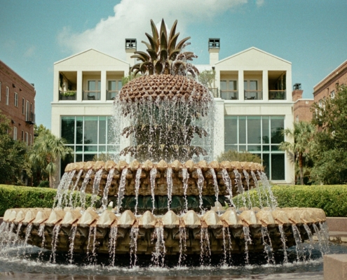 Фонтан Ананас